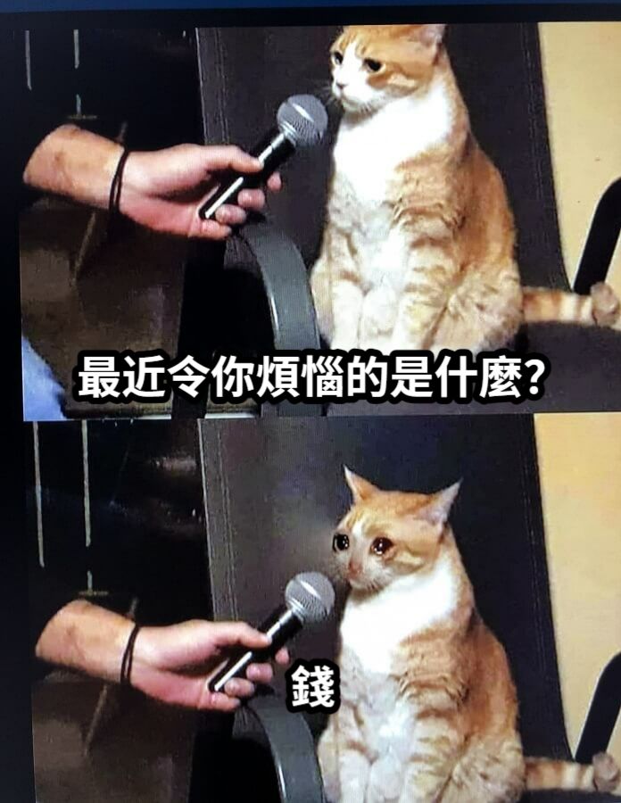 三贞九烈是什么生肖?